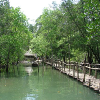 Bhitarkanika National Park